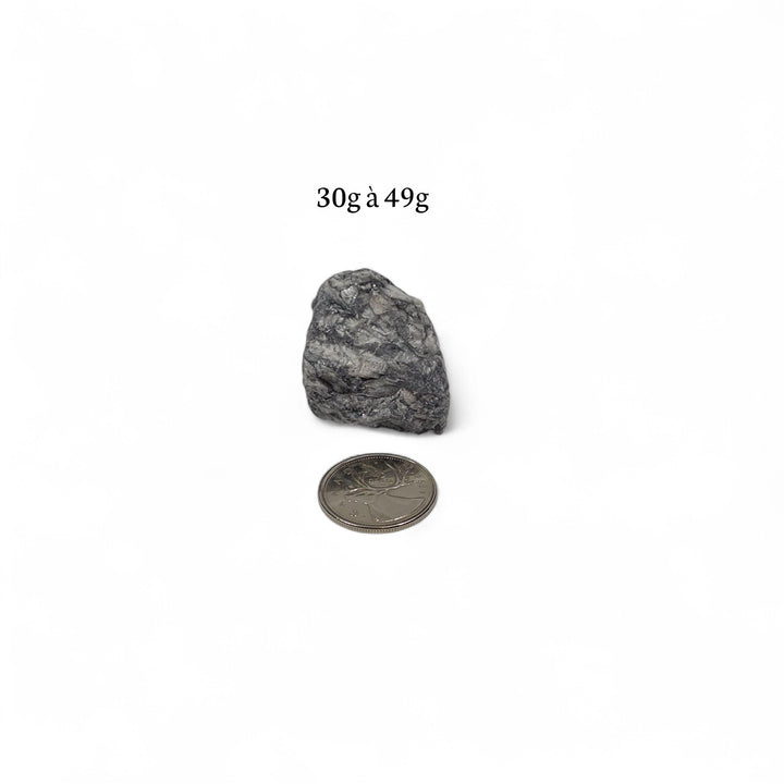 Pinolite brute 30 à 49 grammes, photographiée à côté d’une pièce de 25 cents servant de repère visuel.
