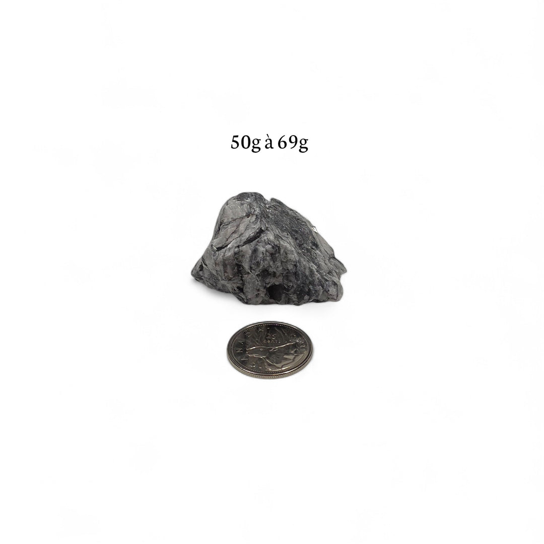 Pinolite brute 50 à 69 grammes, présentée à côté d’une pièce de 25 cents pour illustrer la dimension.