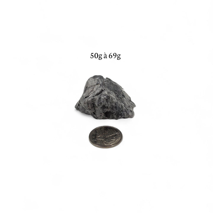 Pinolite brute 50 à 69 grammes, présentée à côté d’une pièce de 25 cents pour illustrer la dimension.