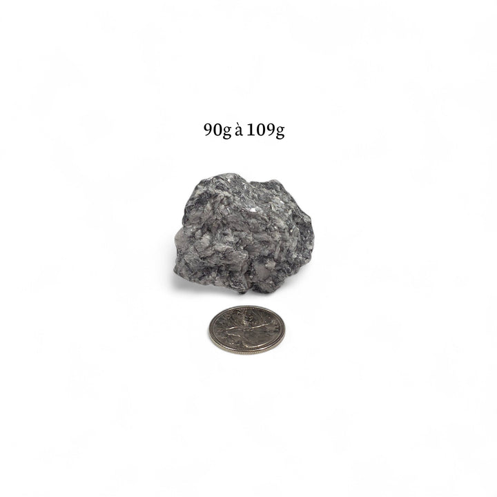 Pinolite brute 90 à 109 grammes, à côté d’une pièce de 25 cents servant de référence visuelle.
