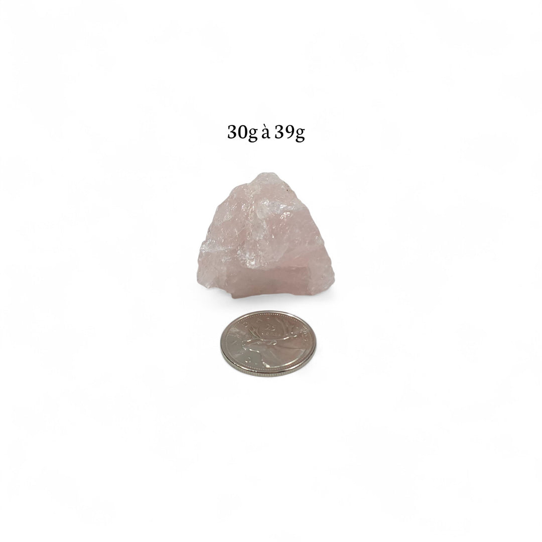 Quartz Rose brut de l'Inde pesant entre 30g et 39g, photographié à côté d'une pièce de 25 cents pour illustrer la taille.