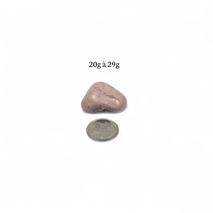 Rhodonite, une pierre roulée pesant entre 20g et 29g, présentée avec une pièce de 25 cents pour illustrer la taille réelle.