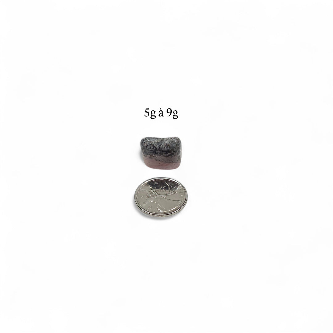 Rhodonite polie pesant entre 5g et 9g, présentée à côté d’une pièce de 25 cents pour comparaison visuelle de la taille.