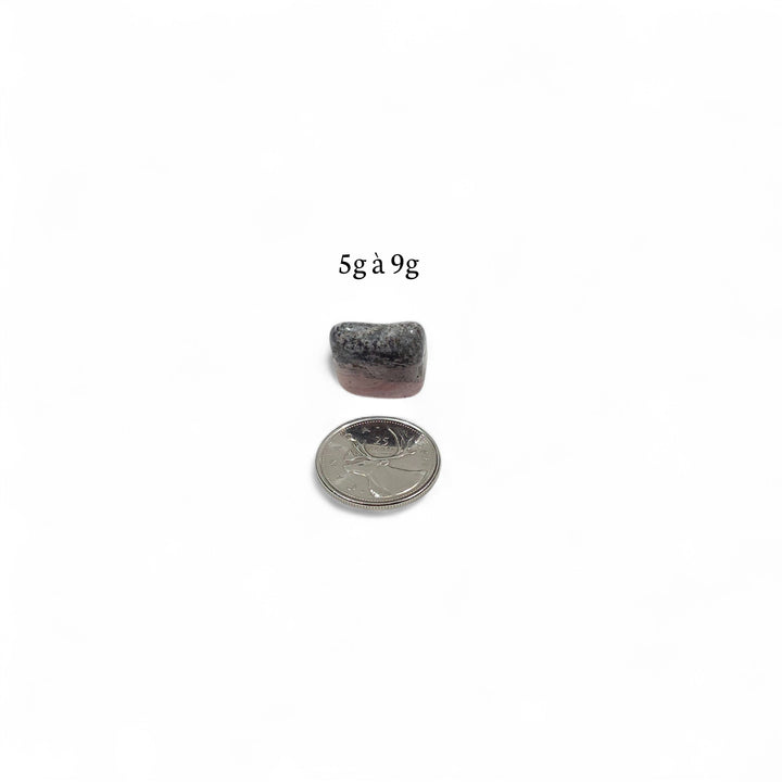 Rhodonite polie pesant entre 5g et 9g, présentée à côté d’une pièce de 25 cents pour comparaison visuelle de la taille.