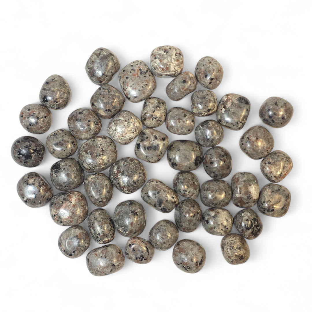 Yooperlite roulée, une pierre d’expression et d’intuition qui t’offre une énergie vivante mais tendre, pour mieux écouter tes ressentis et avancer avec clarté.