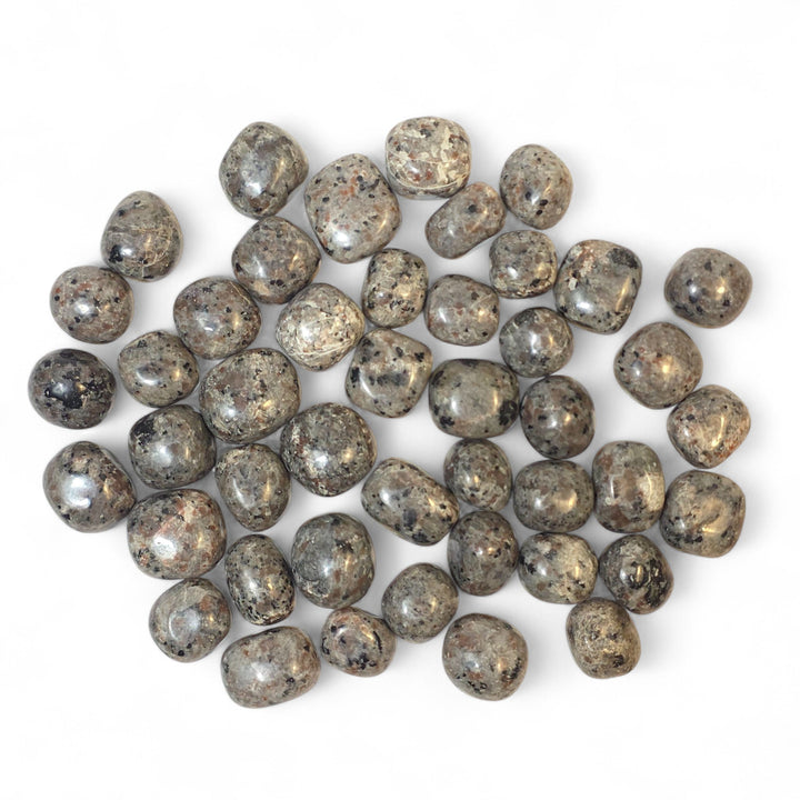 Yooperlite roulée, une pierre d’expression et d’intuition qui t’offre une énergie vivante mais tendre, pour mieux écouter tes ressentis et avancer avec clarté.