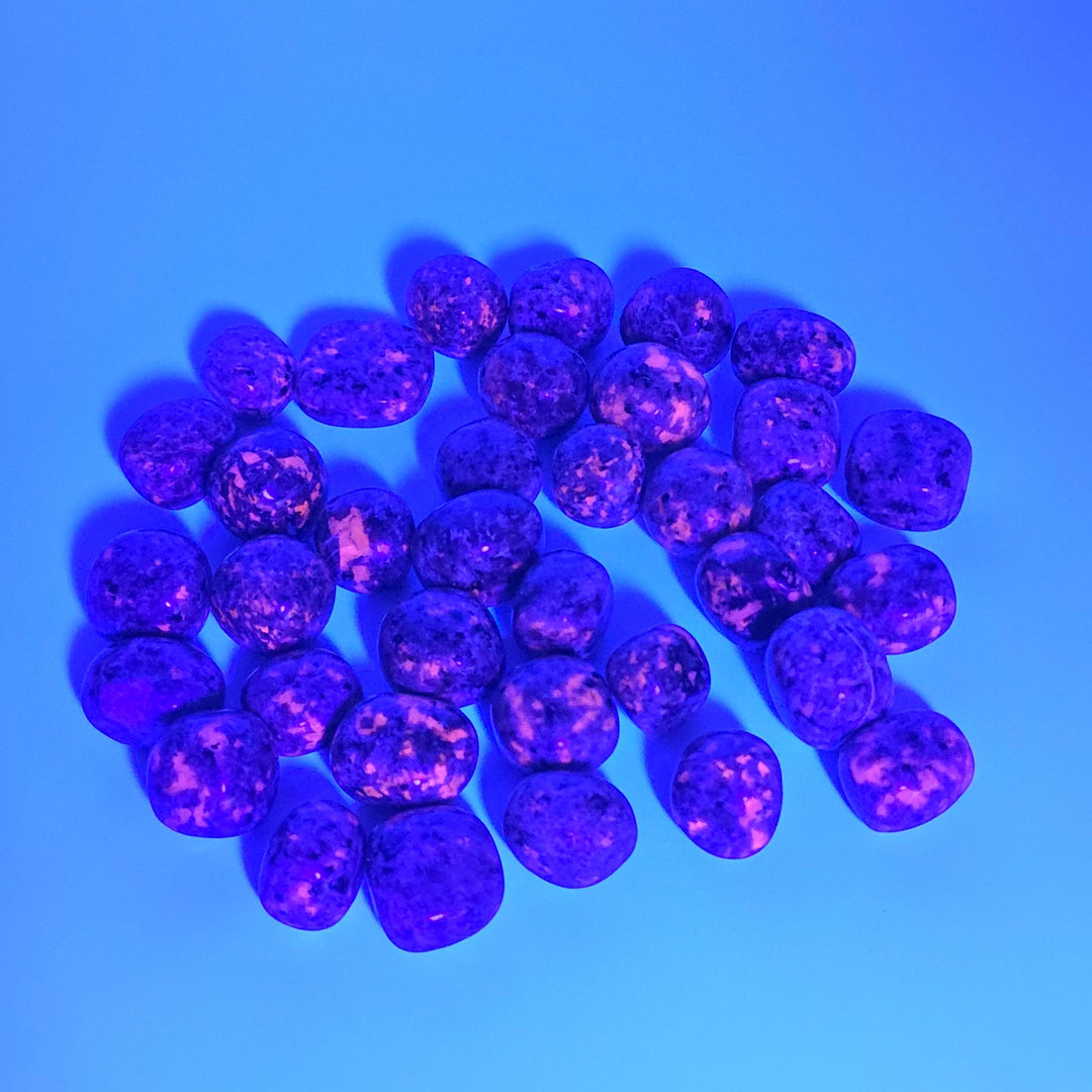 Yooperlite roulée présentée sous lumière UV pour révéler ses couleurs cachées et laisser apparaître sa belle lueur orangée.